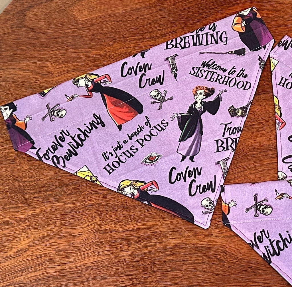 SISTERS! Dog Bandana – Purple Witchy Over-the-Collar Pet Bandana