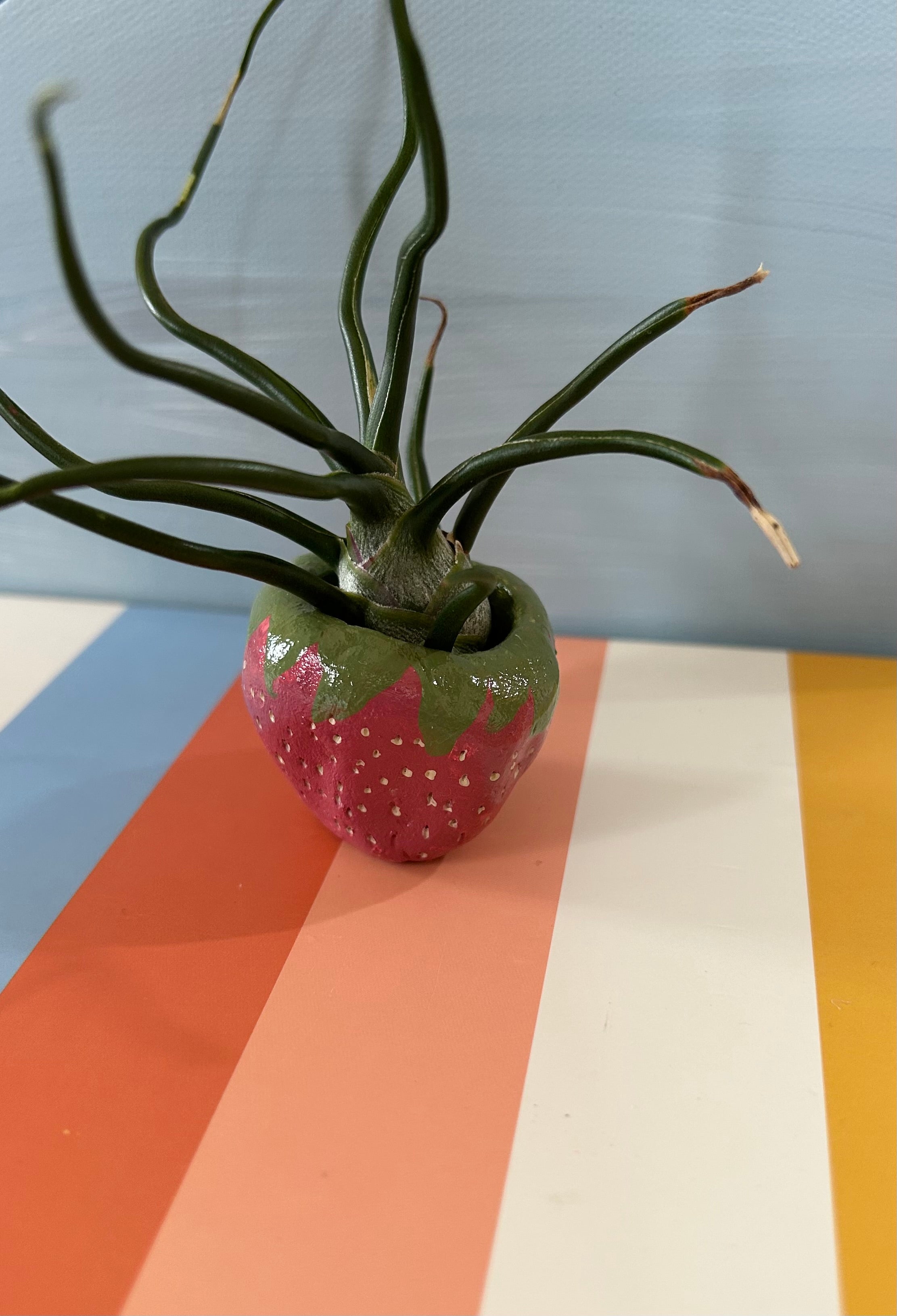 Strawberry Pinch Pot Air Plant Holder