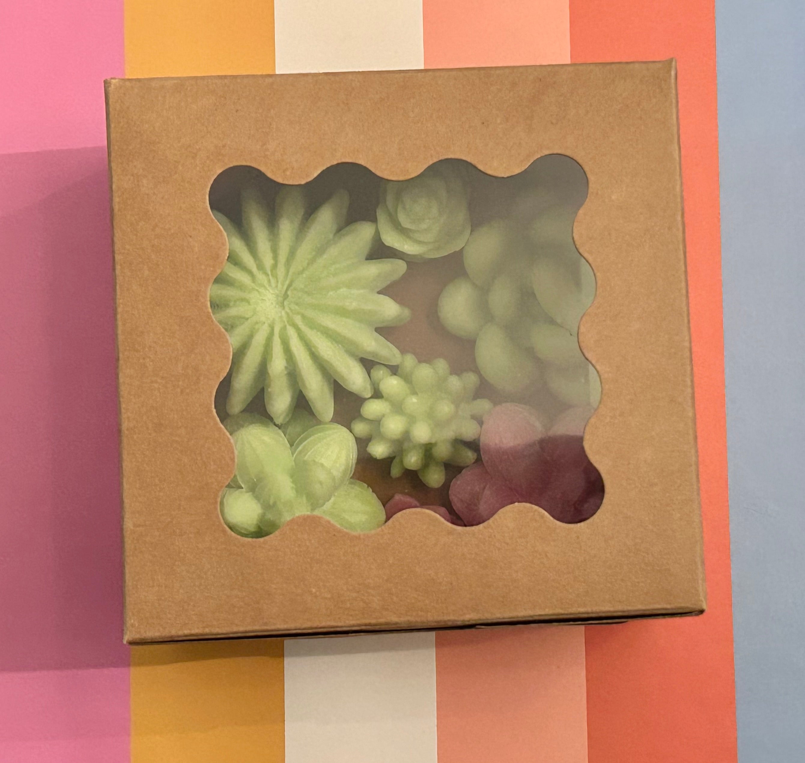 Cactus Blossom Scent Collection – Fresh Cactus Blossom Inspired Soy Wax Candles, Melts
