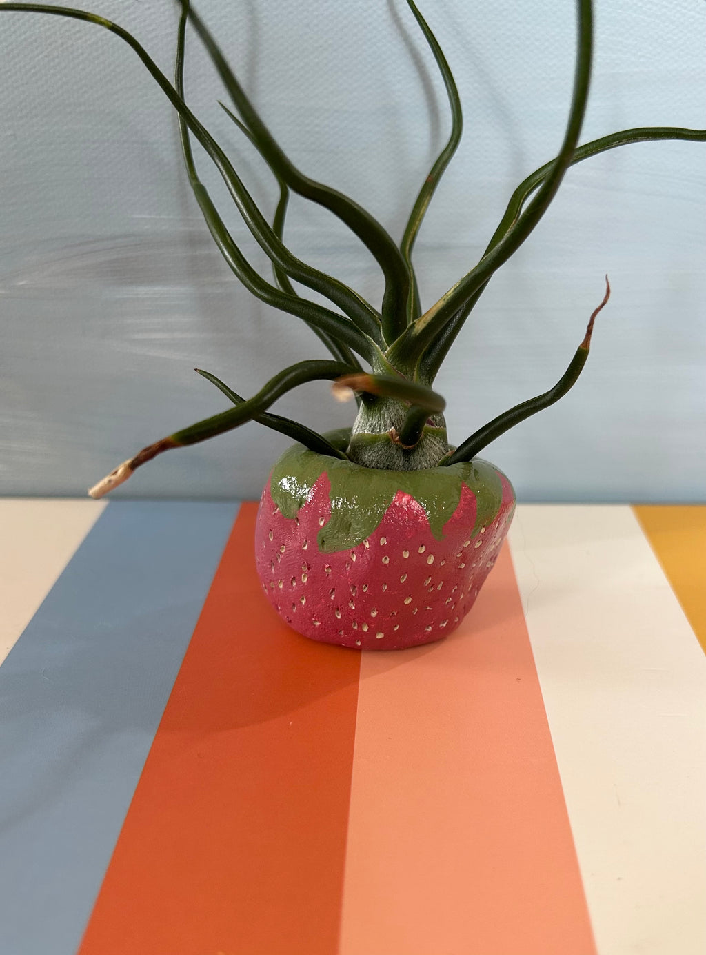 Strawberry Pinch Pot Air Plant Holder